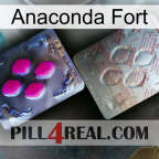 Anaconda Strong 38